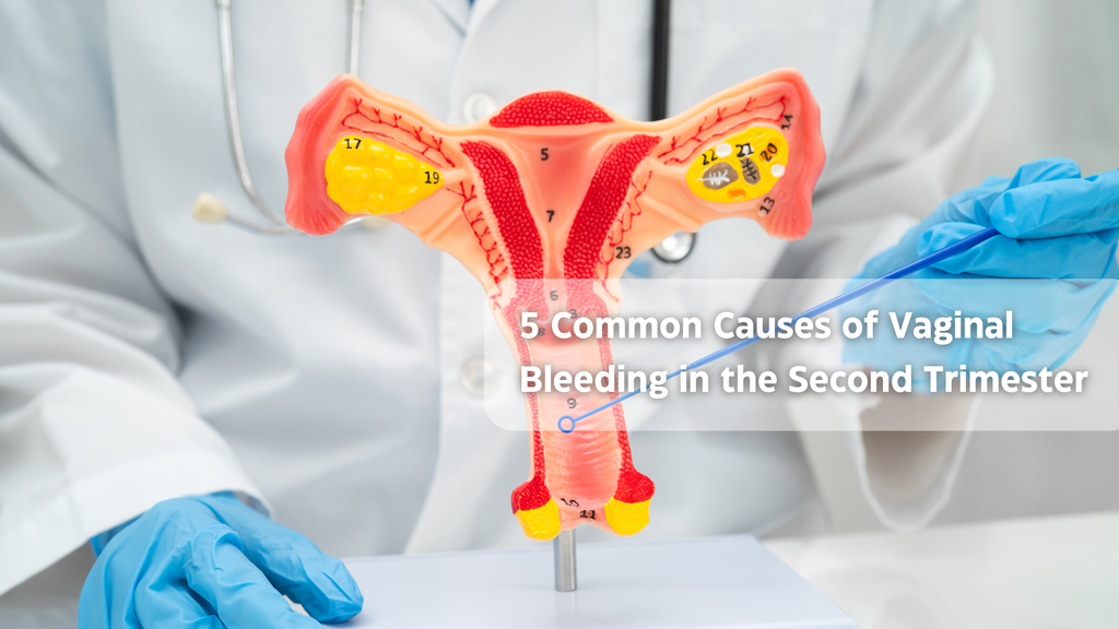 5 Common Causes of Vaginal Bleeding in the Second Trimester
