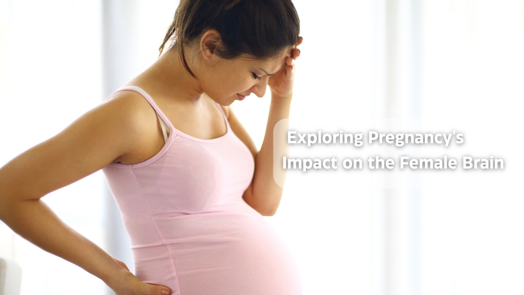 Hormones and Gray Matter: Exploring Pregnancy's Impact on the Female Brain